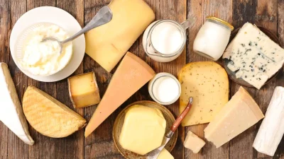 Tüm Süt, Et ve Damızlık Sığır Yetiştiricileri Derneği (TÜSEDAD) tarafından