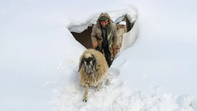 Doğu Anadolu bölgesinde etkisini artıran şiddetli kar yağışı ve tipi