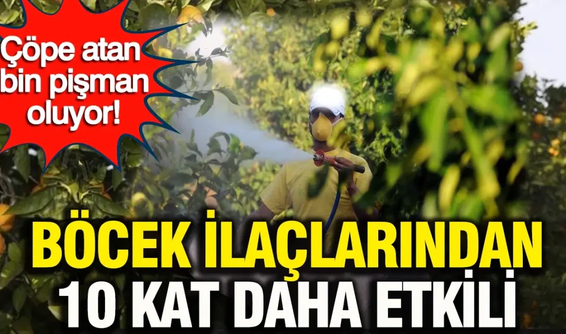 Apple TV+ platformunun en dikkat çekici yapımları arasında yer alan