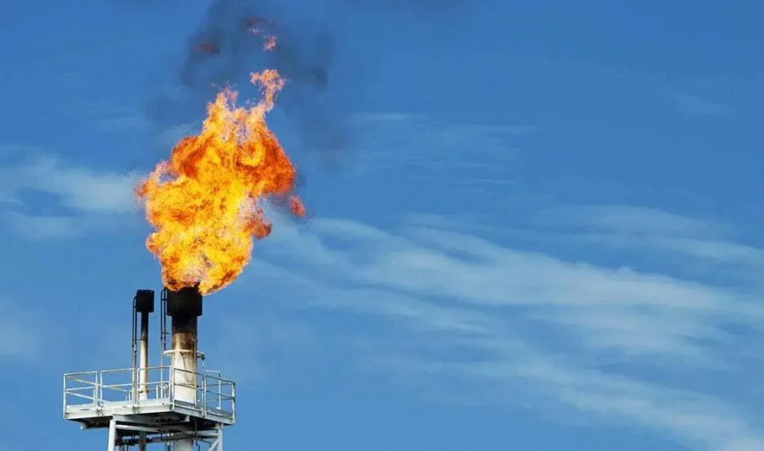 Enerji ve Tabii Kaynaklar Bakanı Alparslan Bayraktar, kamuoyunda geniş yankı