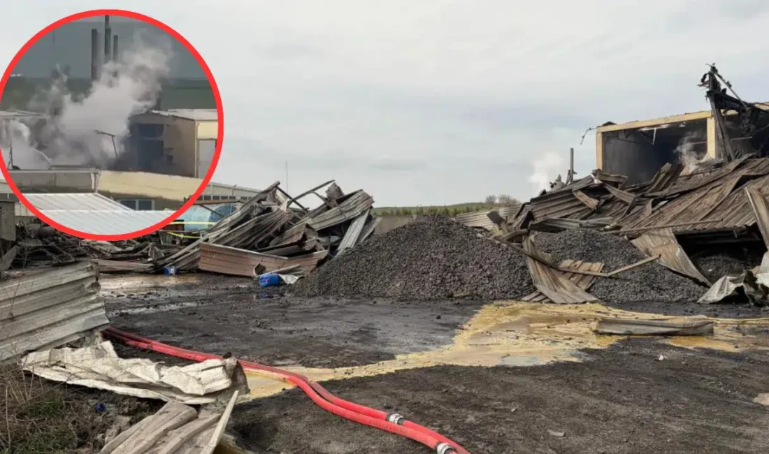 Tekirdağ’ın Hayrabolu ilçesinde kemik tozu ve hayvansal yağ üretimi yapan