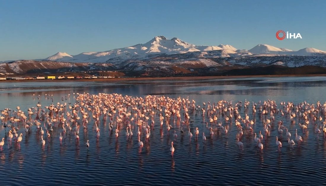 Kayseri’nin doğal miraslarından biri olan Hürmetçi Sazlığı, bereketli yağışların ardından