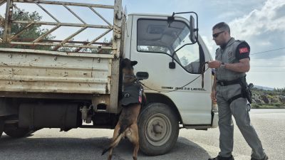 Ramazan Bayramı tatilinin başlamasıyla birlikte Türkiye’nin en önemli turizm merkezlerinden