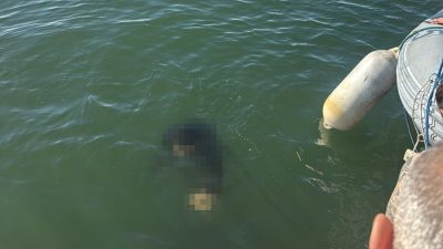 İzmir’in Konak ilçesinde akülü tekerlekli sandalyesiyle denize düşen 54 yaşındaki