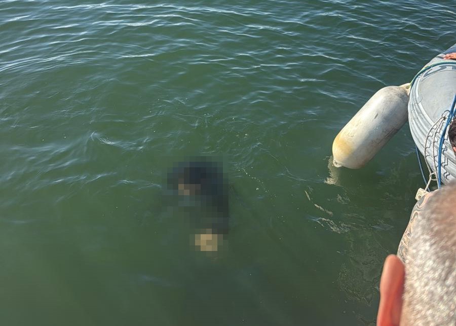 İzmir’in Konak ilçesinde akülü tekerlekli sandalyesiyle denize düşen 54 yaşındaki