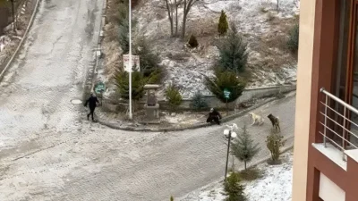 Kastamonu’nun Budamış Mahallesi’nde yer alan bir sitenin çevresinde yaşanan olayda,