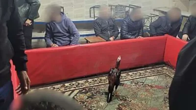 Siirt İl Emniyet Müdürlüğü ekipleri, horoz dövüştürülerek kumar oynatılan bir