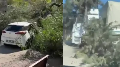 Adana genelinde aniden bastıran ve etkisini artıran şiddetli rüzgar hayatı