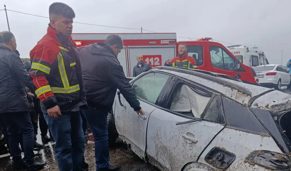 Bingöl’de sürücüsünün direksiyon hakimiyetini kaybetmesi sonucu şarampole yuvarlanan otomobilde bulunan
