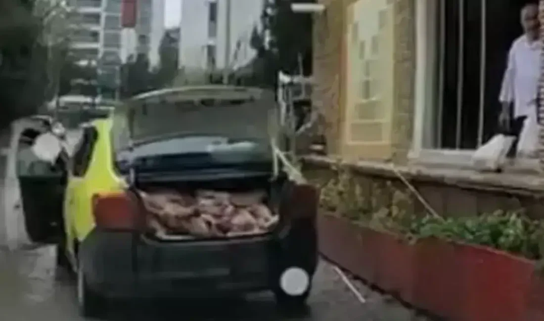 Samsun’un Atakum ilçesinde bir taksinin bagajında uygunsuz koşullarda et taşındığının