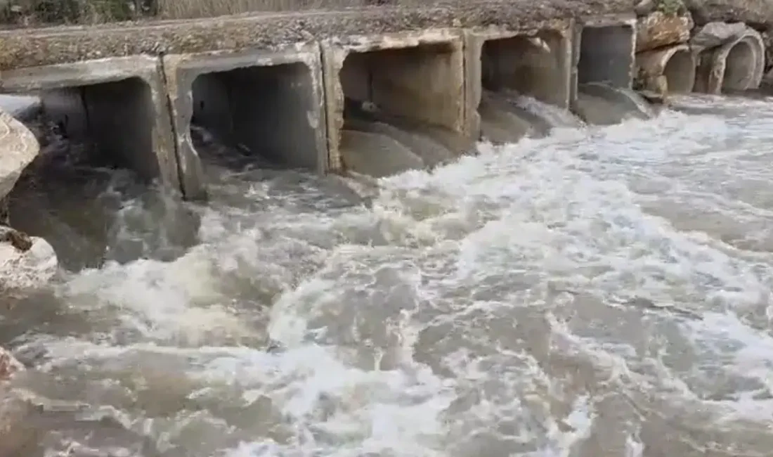 Bursa’nın İznik ilçesinde yaz aylarında yaşanan aşırı kuraklık nedeniyle tamamen