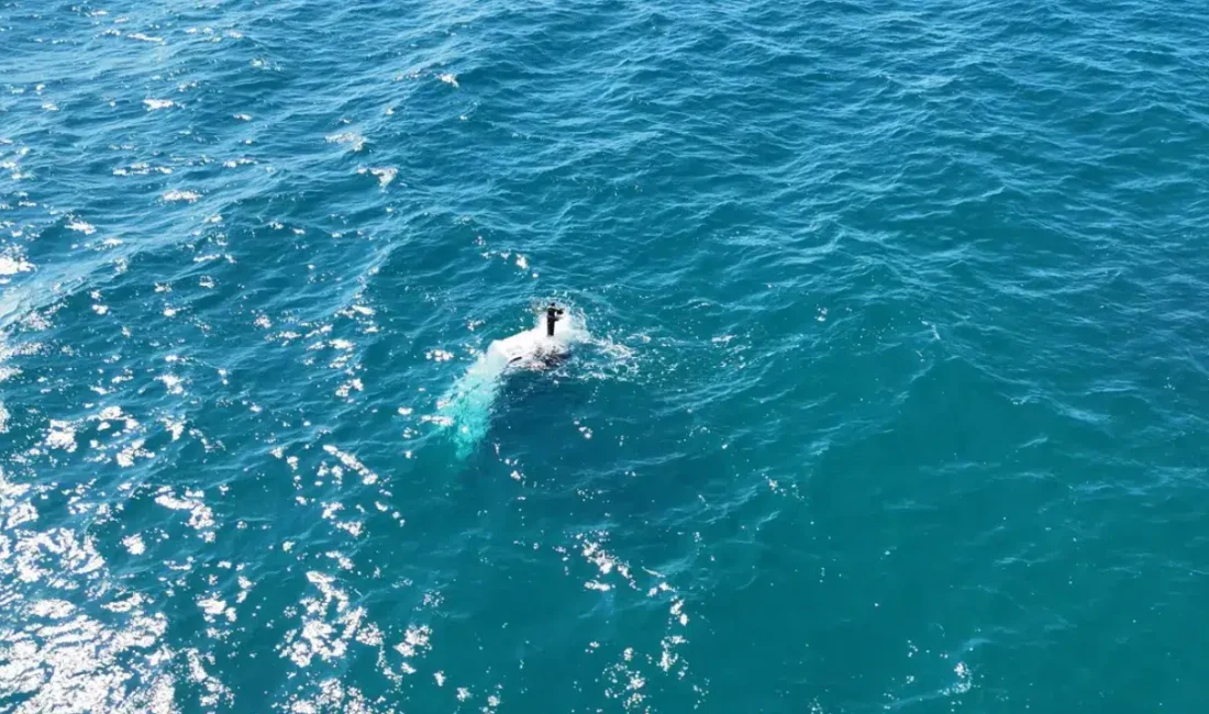 Alanya açıklarında su almaya başlayan balıkçı teknesi saniyeler içinde sulara