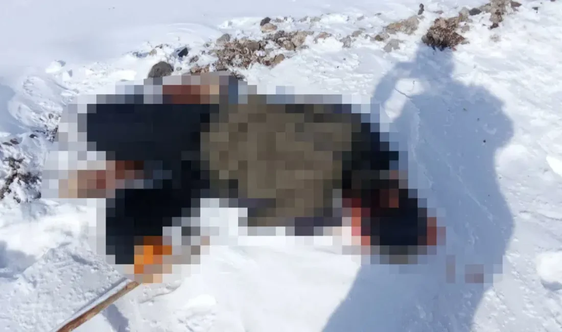 Van’ın Başkale ilçesinde İran sınır hattına yakın bir noktada bulunan