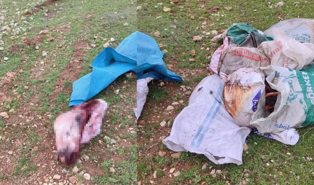 Şanlıurfa’nın Eyyübiye ilçesinde kırsal alanda terk edilmiş halde bulunan çuvallar