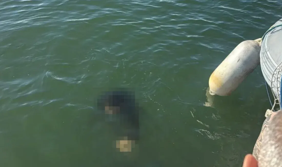 İzmir’in Konak ilçesinde akülü tekerlekli sandalyesiyle denize düşen 54 yaşındaki