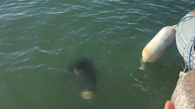 İzmir’in Konak ilçesinde akülü tekerlekli sandalyesiyle denize düşen 54 yaşındaki