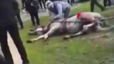 Adana’nın Seyhan ilçesinde atlara yönelik vicdanları yaralayan eziyet görüntülerinin ardından