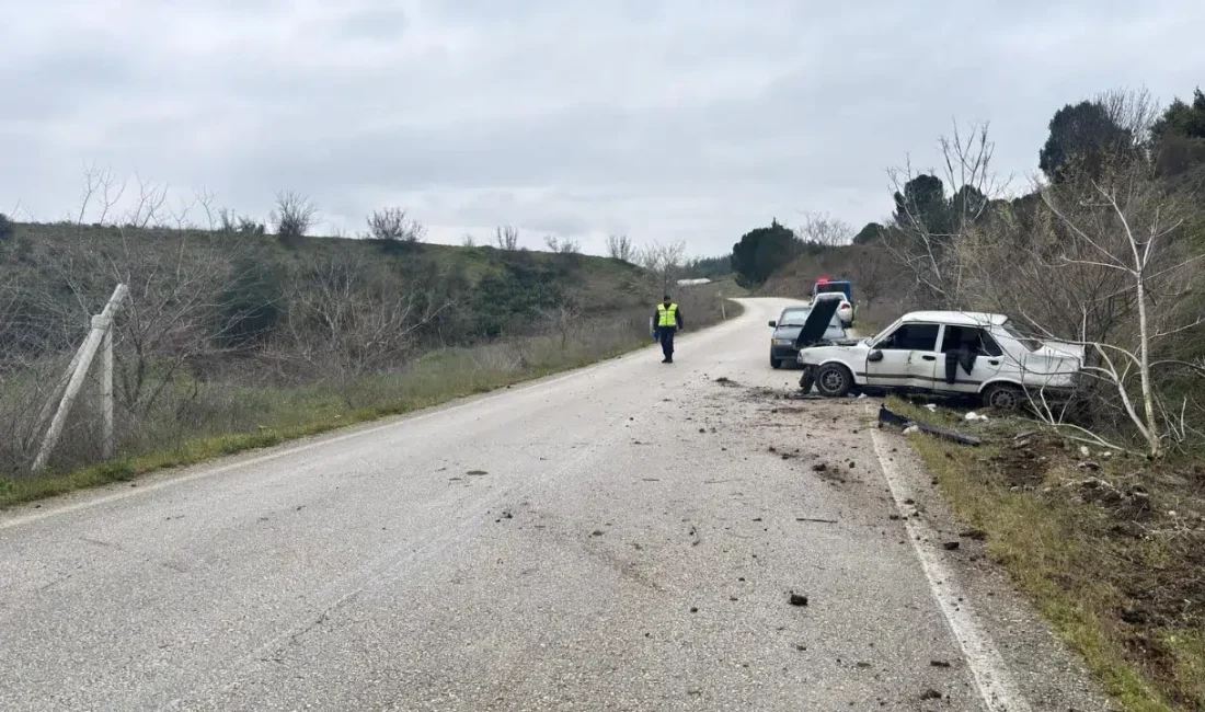 Bilecik’in Söğüt ilçesinde meydana gelen trafik kazasında, direksiyon hakimiyetini kaybeden