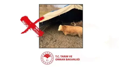 Sosyal medyada infial yaratan Çorum’daki hayvanlara kötü muamele görüntüleri sonrası