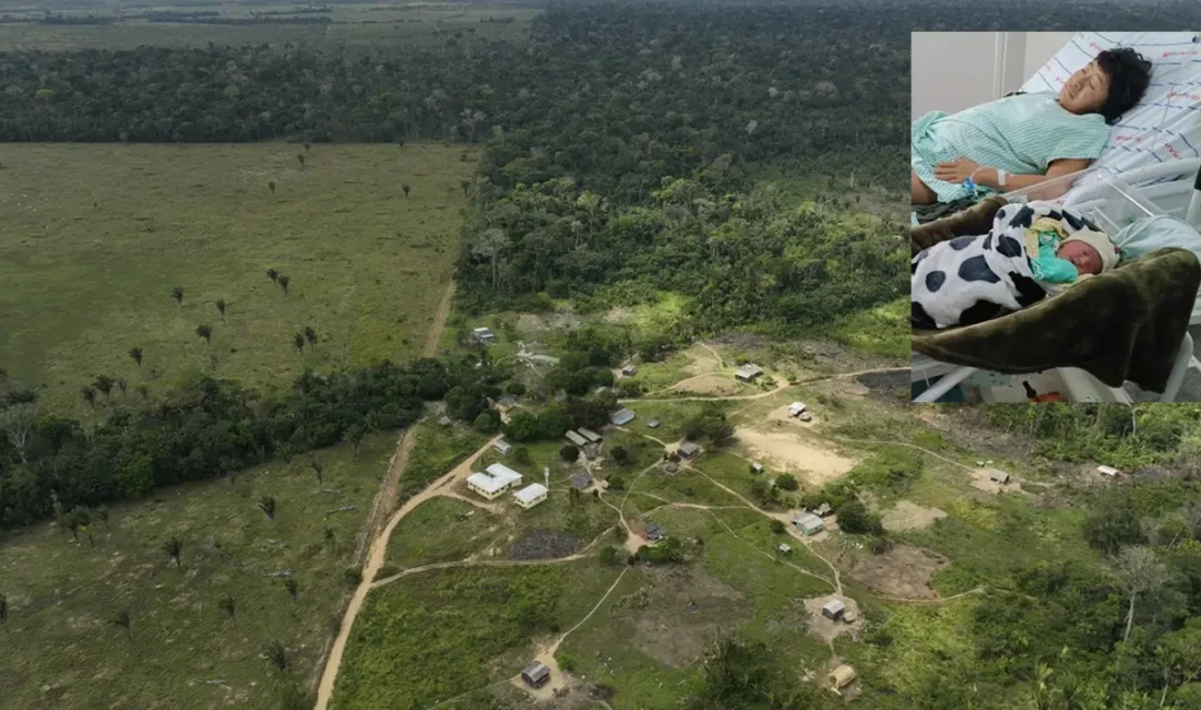 Amazon ormanlarının derinliklerinde sadece üç kadın üyesi kalarak tarihe karışmak