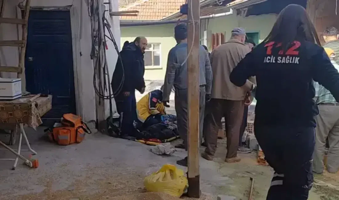 Çorum’un Alaca ilçesinde buğday yükleme işlemi sırasında meydana gelen korkunç