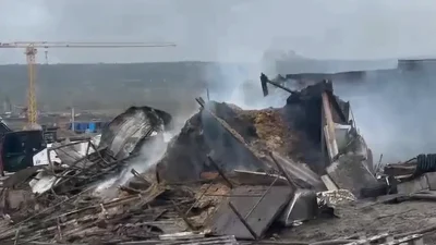 Kocaeli’nin Dilovası ilçesinde sabaha karşı meydana gelen korkunç ahır yangını