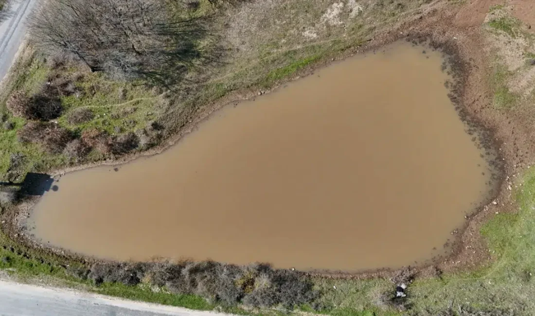 Kırklareli’de yaz aylarında etkili olan aşırı sıcaklık ve kuraklık nedeniyle