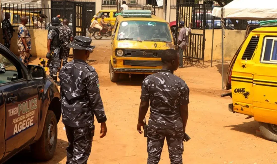 Nijerya’nın Benue eyaletinde geçimlerini sağlamak için tarlada kaju toplayan köylüler,