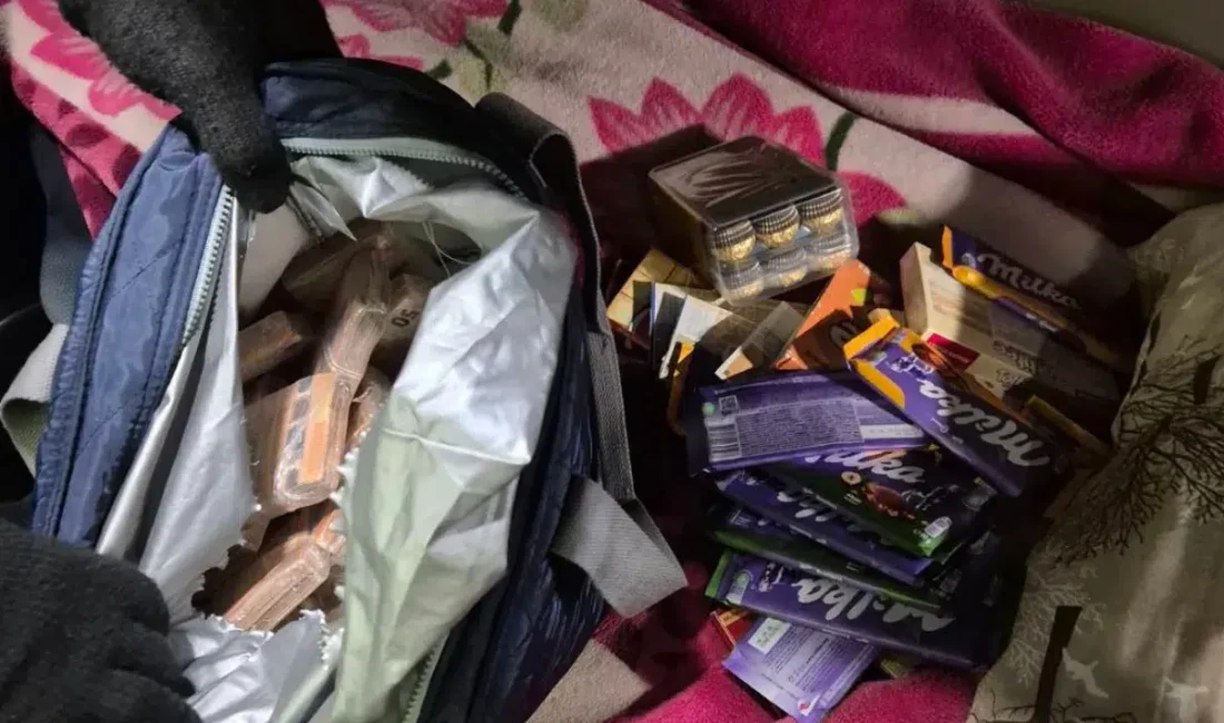 Edirne Kapıkule Sınır Kapısı üzerinden Türkiye’ye giriş yapmak isteyen bir