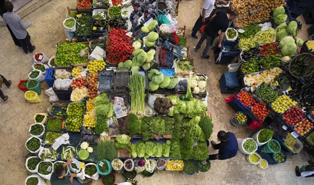Türkiye İstatistik Kurumu tarafından paylaşılan 2025 yılı bitkisel ürün denge