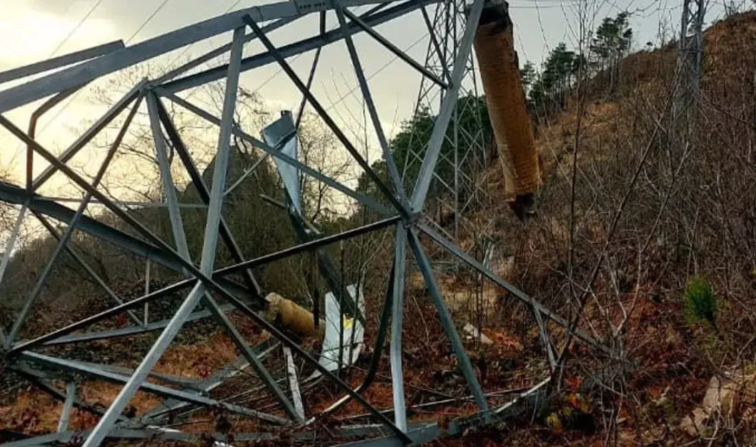 Artvin’in Arhavi ilçesinde akıllara durgunluk veren bir hırsızlık olayı yaşandı.