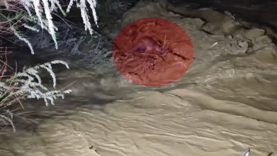 Aydın’ın Nazilli ilçesinde sağanak yağışın ardından taşan Mergen Çayı’nda yaşanan