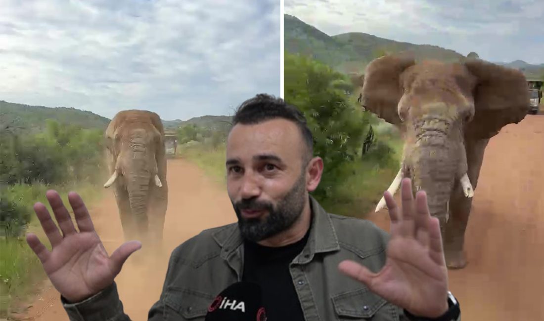 Güney Afrika’da safari heyecanı yaşayan 20 kişilik Türk turist kafilesi,