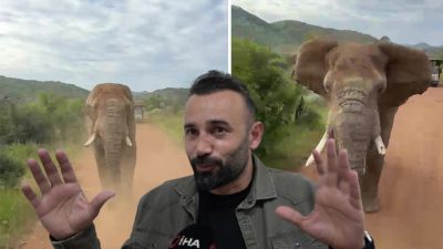 Güney Afrika’da safari heyecanı yaşayan 20 kişilik Türk turist kafilesi,