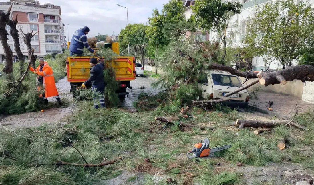 Aydın’ın Efeler ilçesinde aniden bastıran sağanak ve şiddetli fırtına hayatı