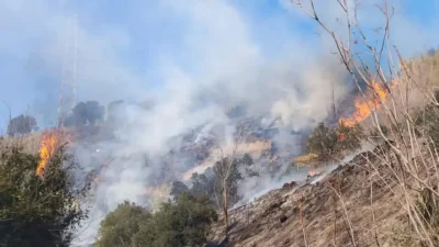 Hatay’ın Defne ilçesinde bir bahçede başlayan ve rüzgarın etkisiyle hızla