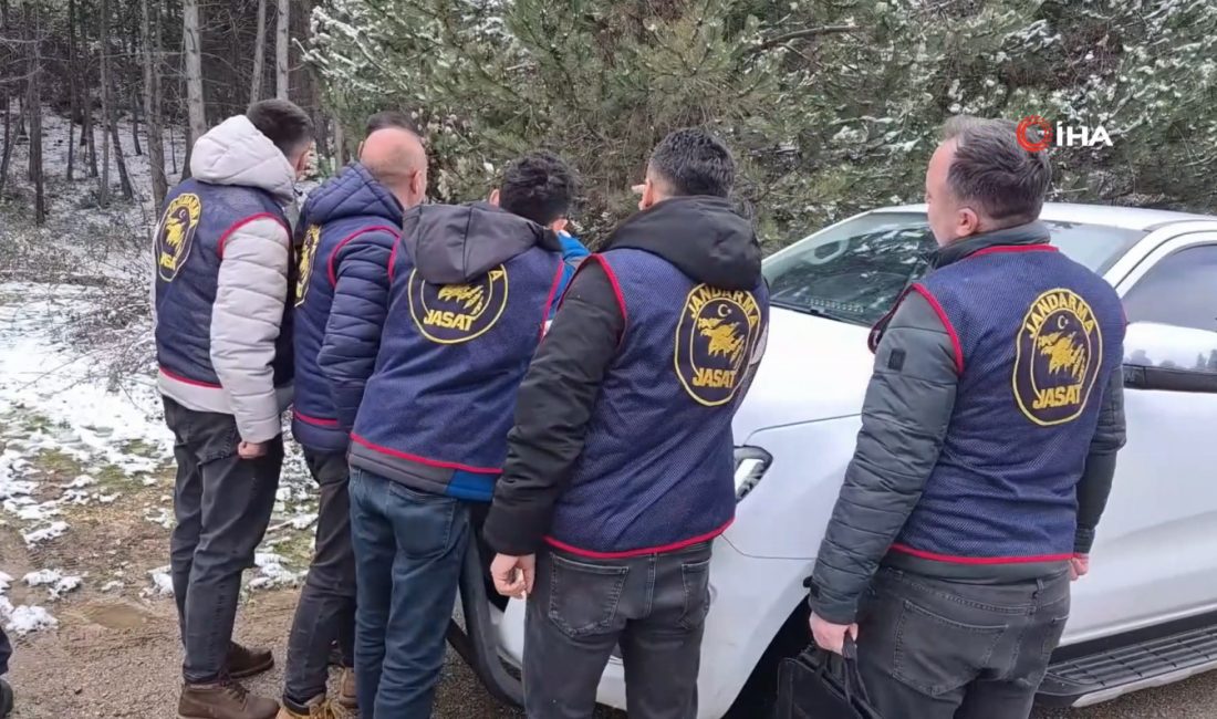 Bolu’da ormanlık alanda bulunan kemik parçaları, 2016 yılından bu yana