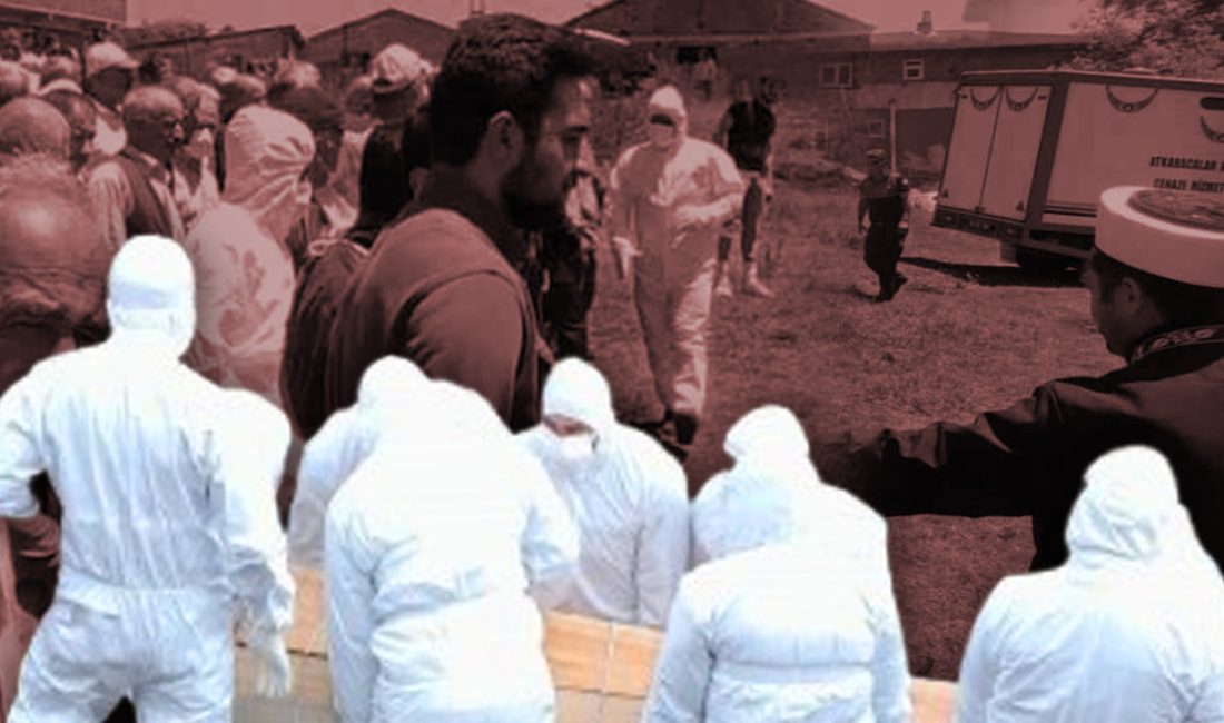 Anadolu genelinde bu kış etkili olan yoğun yağışlar, kene popülasyonunu