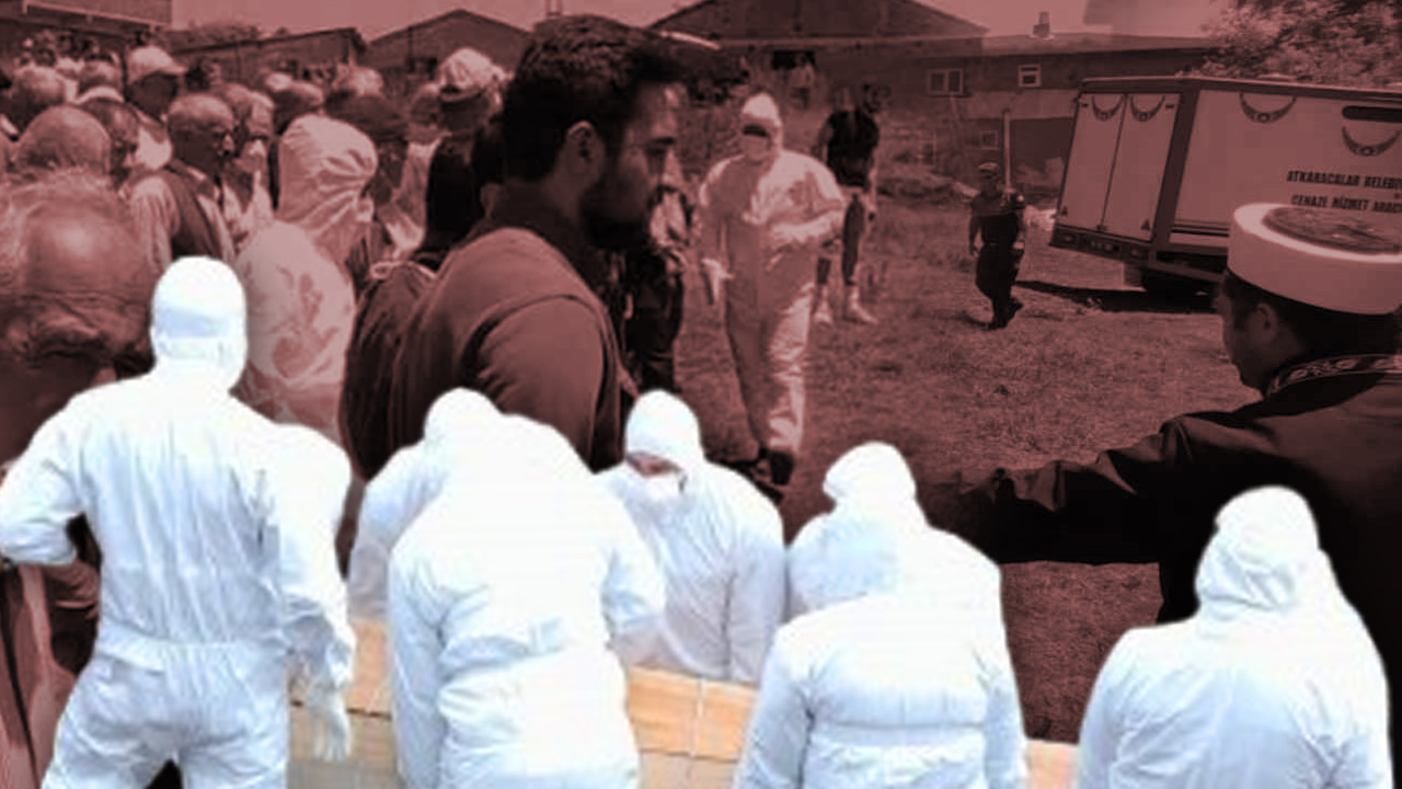 Anadolu genelinde bu kış etkili olan yoğun yağışlar, kene popülasyonunu