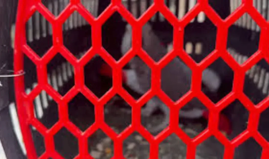 Tarım ve Orman Bakanlığı ekiplerinin İstanbul Eminönü’nde gerçekleştirdiği ani denetim