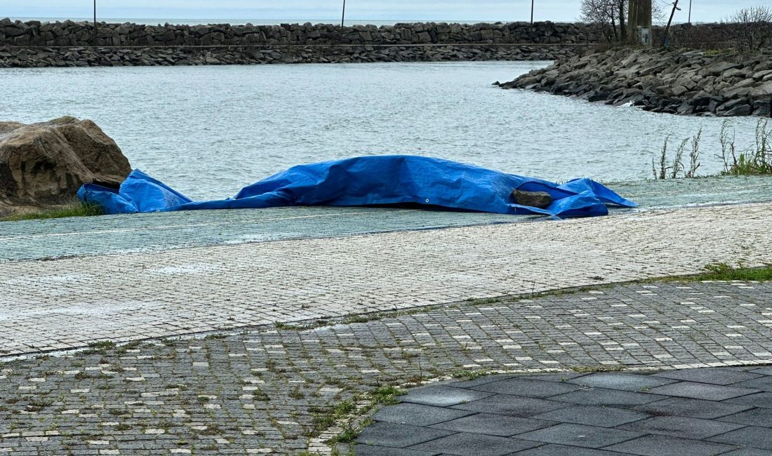 Ordu’nun Fatsa ilçesinde sabah saatlerinde sahilde bulunan gizemli cisim bölgede