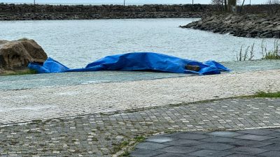Ordu’nun Fatsa ilçesinde sabah saatlerinde sahilde bulunan gizemli cisim bölgede