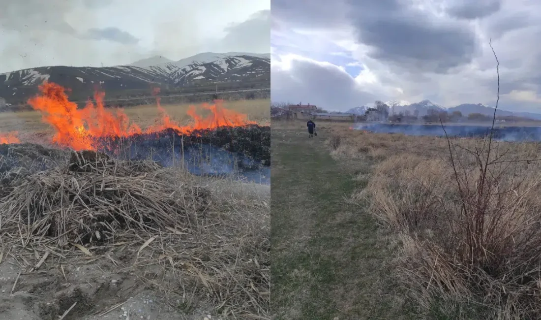 Van’ın Gevaş ilçesinde tarım arazilerinden yükselen alevler çevrede büyük paniğe