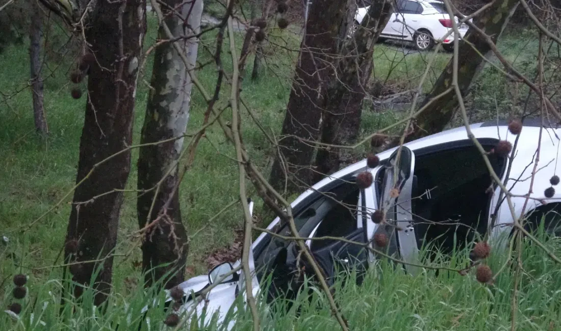 İstanbul Pendik’te kontrolden çıkan bir otomobil, virajı alamayarak yol kenarındaki