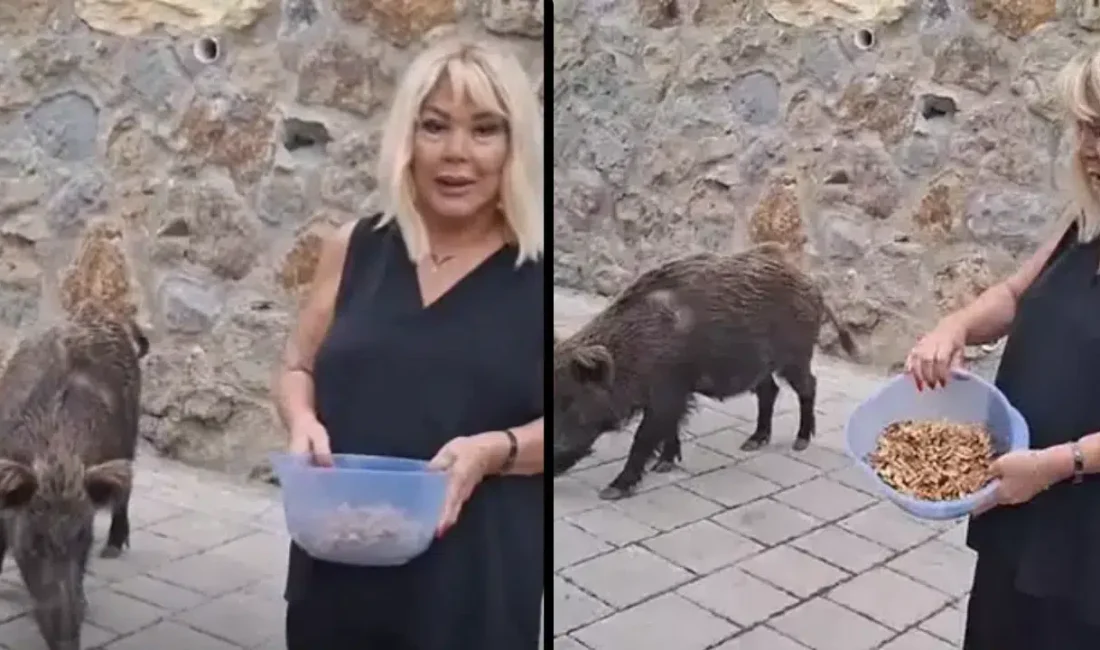 Muğla’nın popüler tatil merkezi Bodrum’da yaşayan ünlü şarkıcı Safiye Soyman,