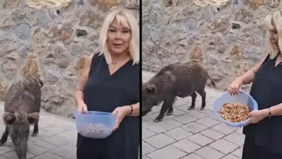 Muğla’nın popüler tatil merkezi Bodrum’da yaşayan ünlü şarkıcı Safiye Soyman,