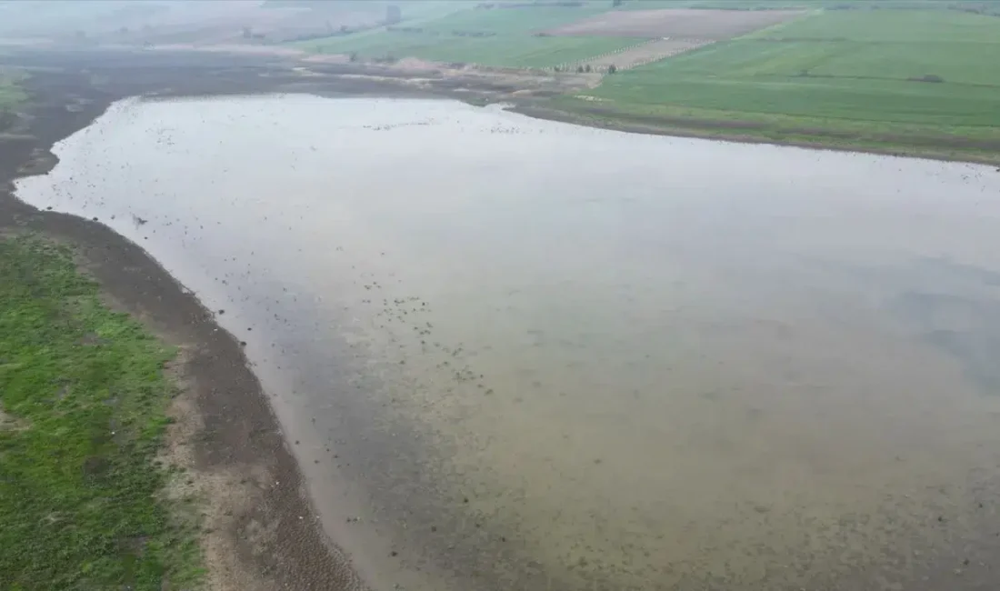 Tekirdağ’da geçtiğimiz yıl kavurucu sıcakların etkisiyle tamamen kuruyan ve balık