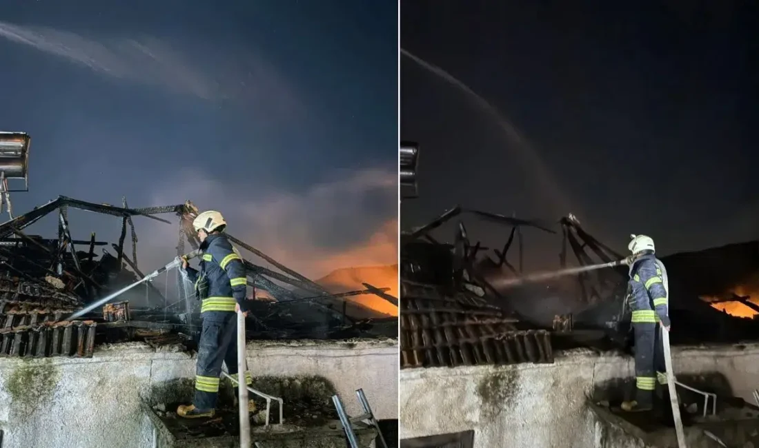 Muğla’nın Milas ilçesinde depo olarak kullanılan bir evin ahşap çatısında