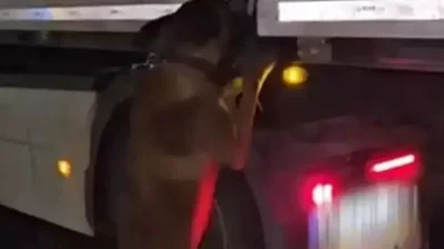 Diyarbakır Emniyet Müdürlüğü ekiplerinin titiz takibi sonucu durdurulan bir tırda