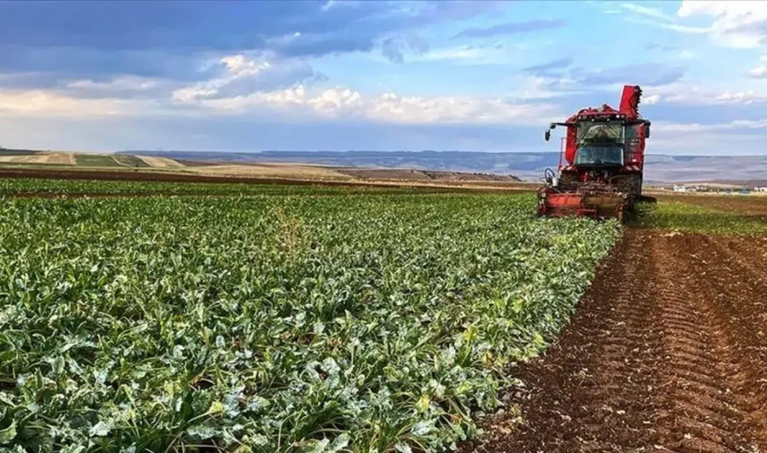 Burdur’da tarımsal üretimi şaha kaldıracak olan Bitkisel Üretimin Geliştirilmesi Projesi